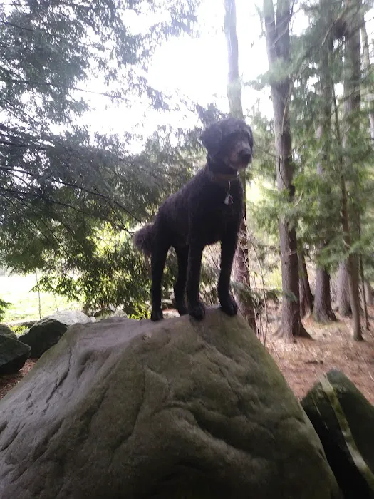 Nashua Dog Park - Membership Required 10