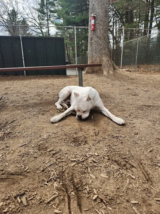 Royal Crest Drive Dog Park 2