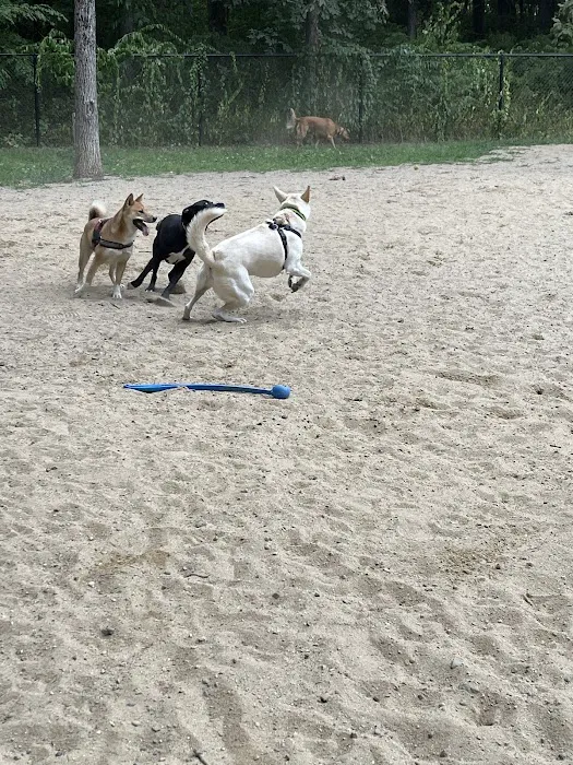 Andover Dog Park 6