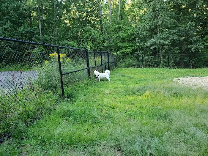 Andover Dog Park 1