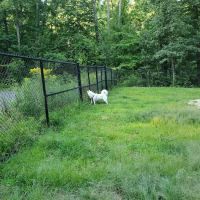 Andover Dog Park ico
