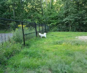 Andover Dog Park