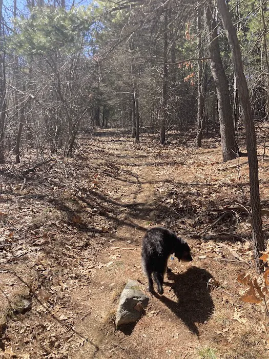 Andover Dog Park 3