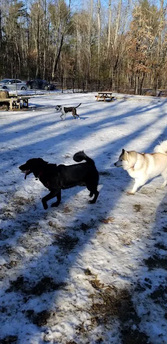 Andover Dog Park 2