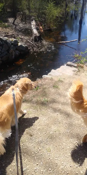 Wilmington Dog Park 7