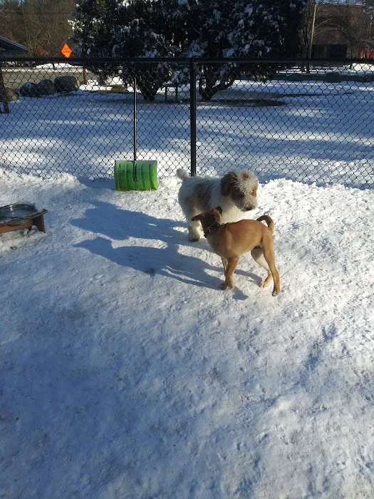 Wilmington Dog Park 9