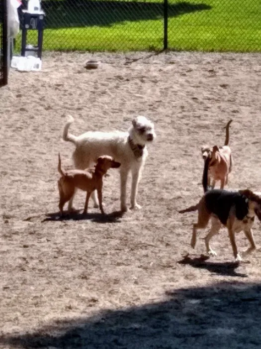 Wilmington Dog Park 10