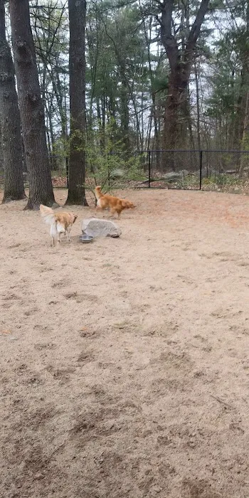 Wilmington Dog Park 2