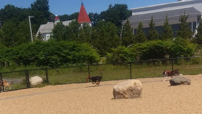 Woburn Dog Park 7