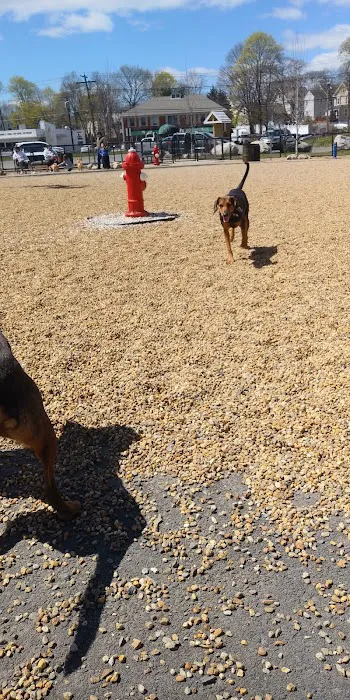 Woburn Dog Park 9