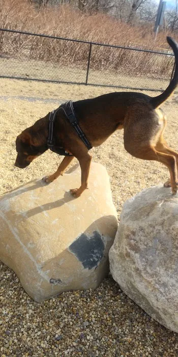 Woburn Dog Park 5