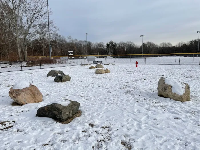 Woburn Dog Park 10