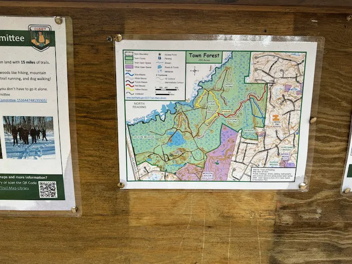 Reading Town Forest 3