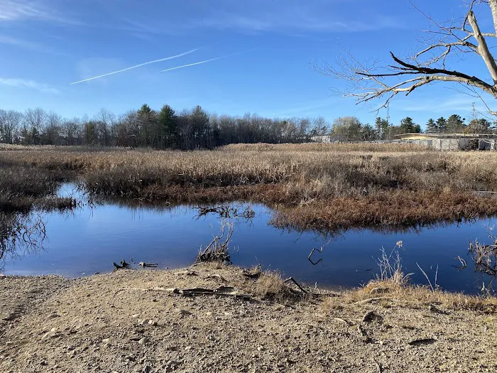 Reading Town Forest 5