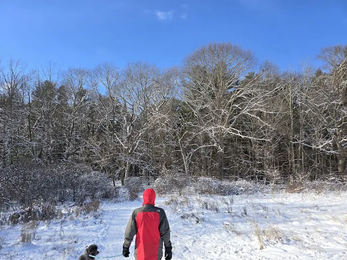 Sheepfold Dog Park 6
