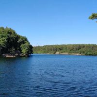 Sheepfold Dog Park ico
