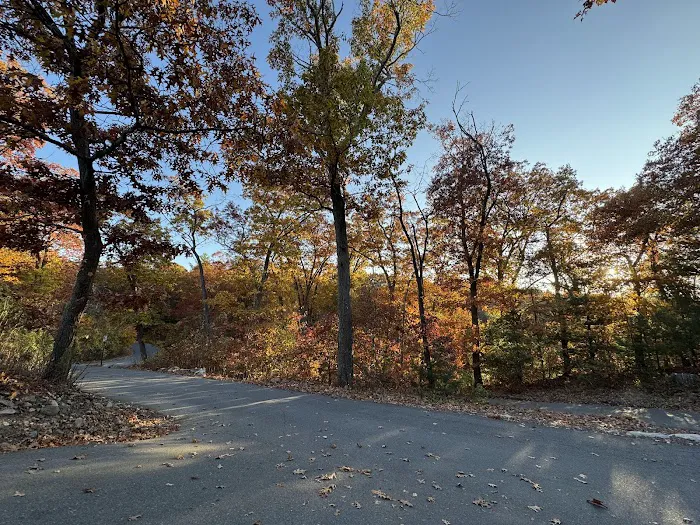 Sheepfold Dog Park 8