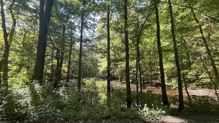 Sheepfold Dog Park 4