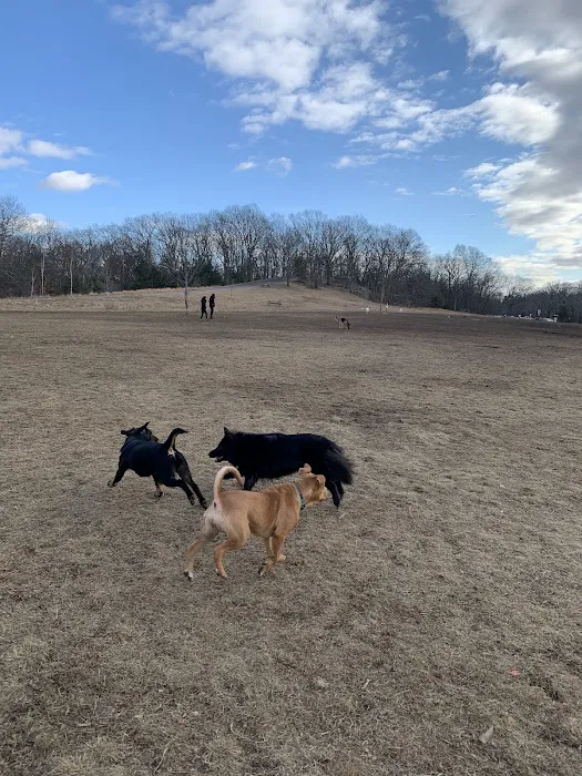 Sheepfold Dog Park 7