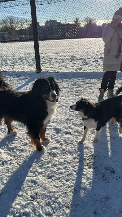 Lincoln Park Dog Park 2