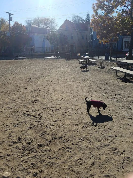 Nunziato Dog Park 1