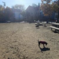 Nunziato Dog Park ico