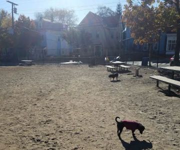 Nunziato Dog Park