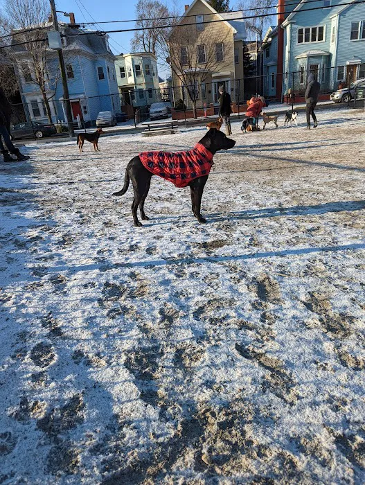 Nunziato Dog Park 5