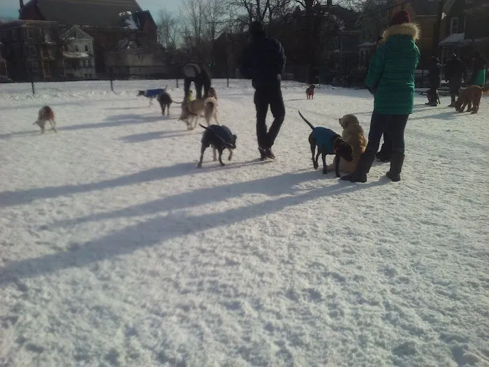 Nunziato Dog Park 4