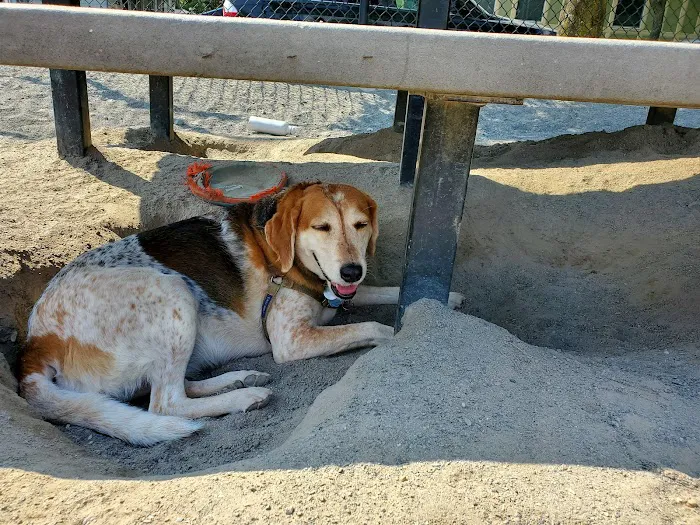 Nunziato Dog Park 3