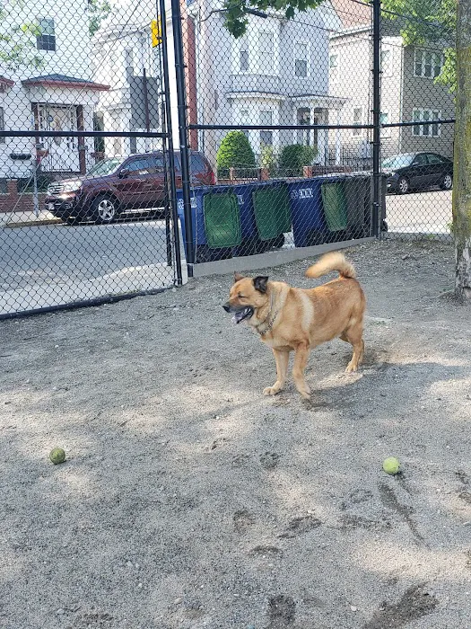 Nunziato Dog Park 2