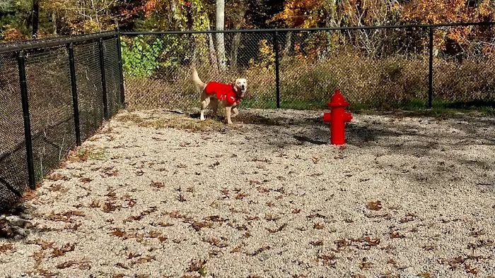 Deer Pond Dog Park 2