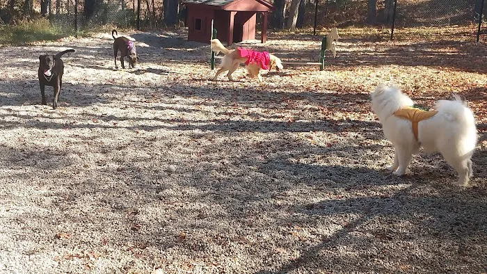 Deer Pond Dog Park 4