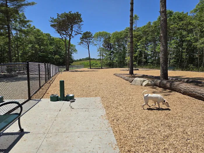 Cedarville Dog Park 1