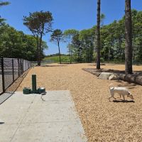 Cedarville Dog Park ico