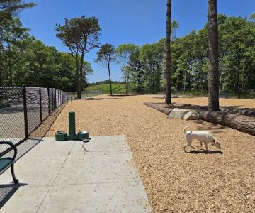 Cedarville Dog Park