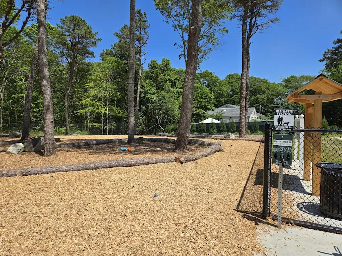 Cedarville Dog Park 5