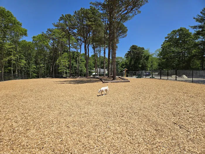 Cedarville Dog Park 2