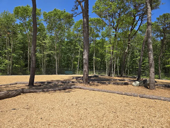 Cedarville Dog Park 7
