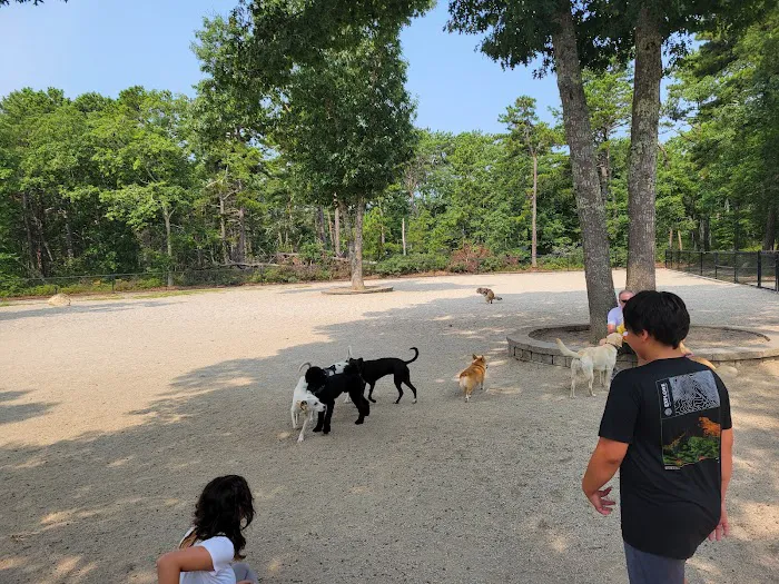 Mashpee Dog Park 6