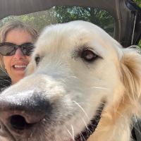 Mashpee Dog Park ico