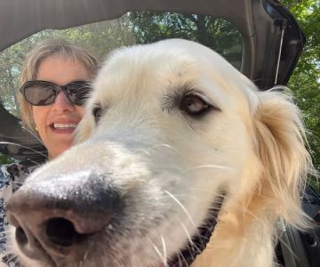 Mashpee Dog Park