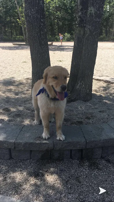 Mashpee Dog Park 8