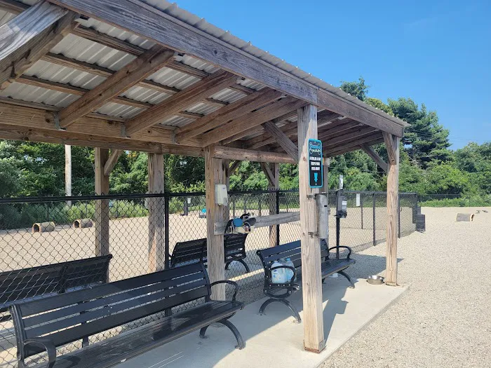 Boneyard Dog Park 6