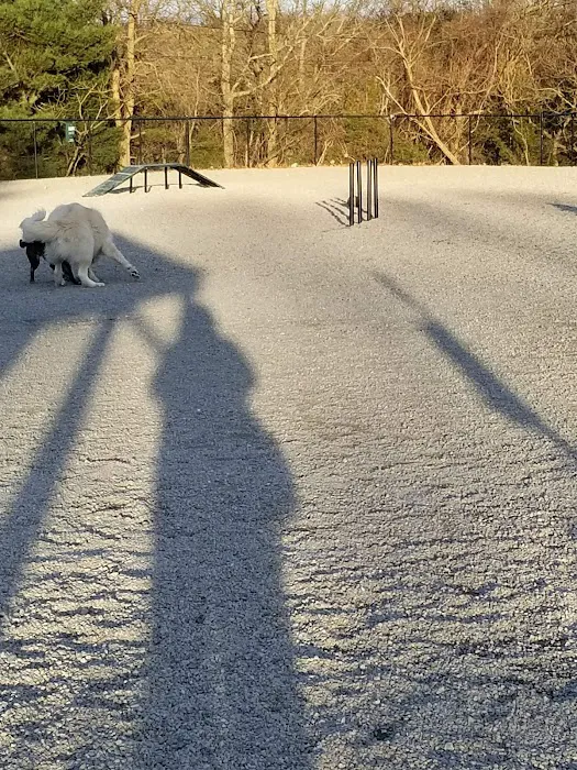 Boneyard Dog Park 2