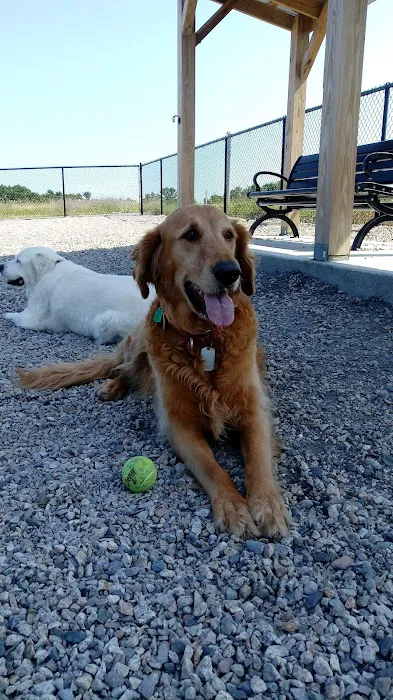 Boneyard Dog Park 10