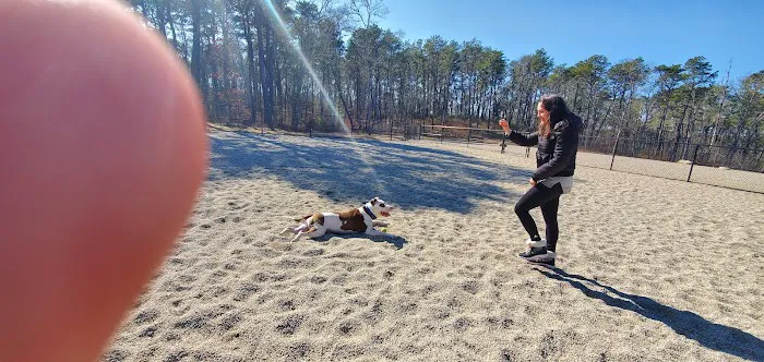 Barnstable Dog Park 4