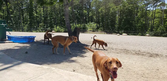 Barnstable Dog Park 5