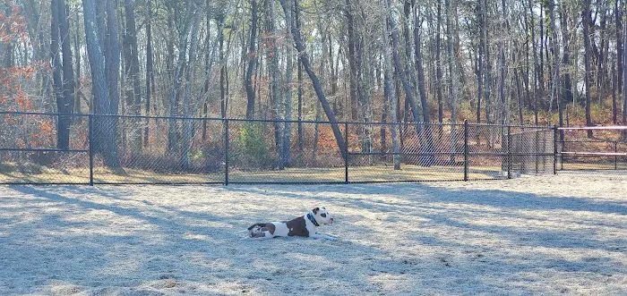 Barnstable Dog Park 2