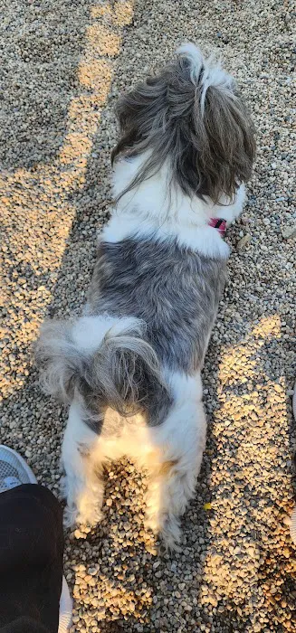 Barnstable Dog Park 9